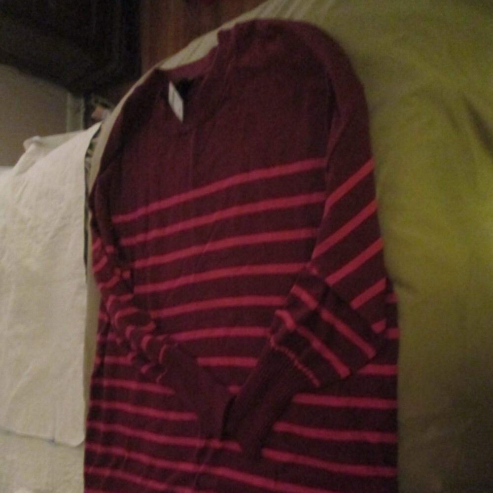 Lane Bryant Sweater